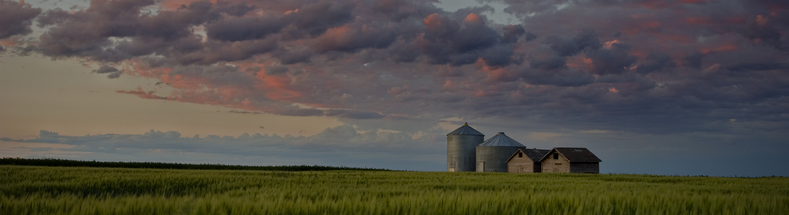 Manitoba Landscape